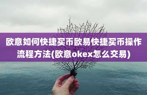 欧意如何快捷买币欧易快捷买币操作流程方法(欧意okex怎么交易)