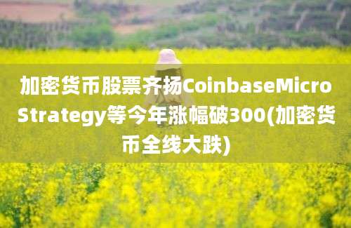 加密货币股票齐扬CoinbaseMicroStrategy等今年涨幅破300(加密货币全线大跌)