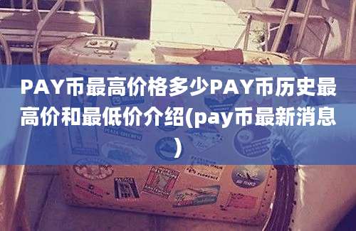 PAY币最高价格多少PAY币历史最高价和最低价介绍(pay币最新消息)