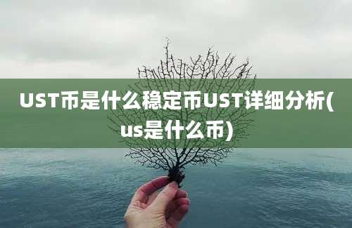 UST币是什么稳定币UST详细分析(us是什么币)