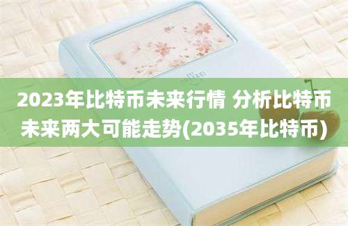 2023年比特币未来行情 分析比特币未来两大可能走势(2035年比特币)