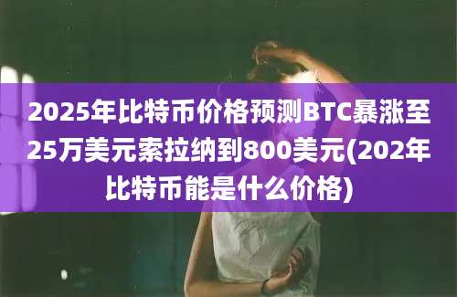 2025年比特币价格预测BTC暴涨至25万美元索拉纳到800美元(202年比特币能是什么价格)