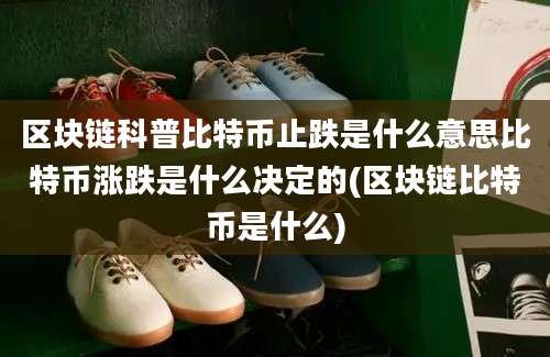 区块链科普比特币止跌是什么意思比特币涨跌是什么决定的(区块链比特币是什么)