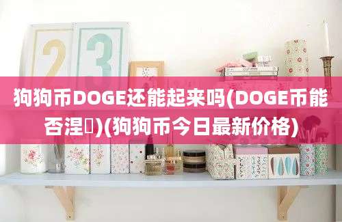 狗狗币DOGE还能起来吗(DOGE币能否涅槃)(狗狗币今日最新价格)