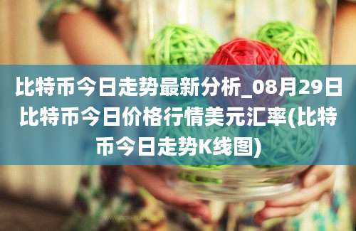 比特币今日走势最新分析_08月29日比特币今日价格行情美元汇率(比特币今日走势K线图)