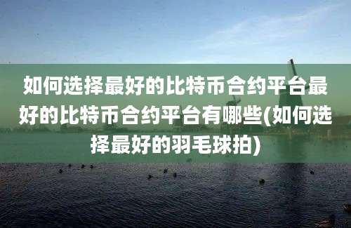 如何选择最好的比特币合约平台最好的比特币合约平台有哪些(如何选择最好的羽毛球拍)