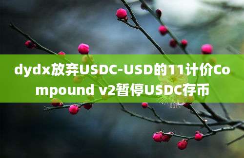 dydx放弃USDC-USD的11计价Compound v2暂停USDC存币