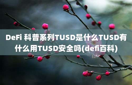 DeFi 科普系列TUSD是什么TUSD有什么用TUSD安全吗(defi百科)