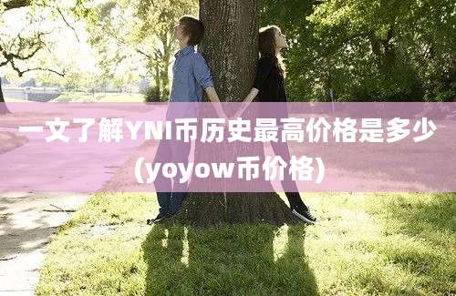 一文了解YNI币历史最高价格是多少(yoyow币价格)