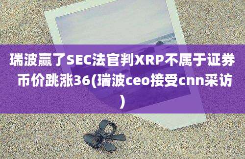 瑞波赢了SEC法官判XRP不属于证券 币价跳涨36(瑞波ceo接受cnn采访)