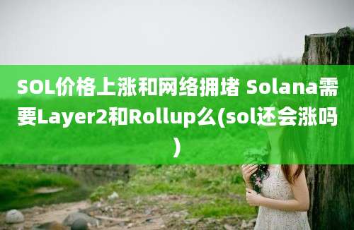 SOL价格上涨和网络拥堵 Solana需要Layer2和Rollup么(sol还会涨吗)