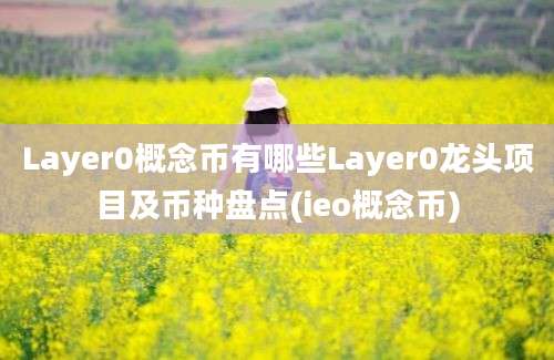 Layer0概念币有哪些Layer0龙头项目及币种盘点(ieo概念币)