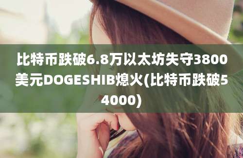 比特币跌破6.8万以太坊失守3800美元DOGESHIB熄火(比特币跌破54000)