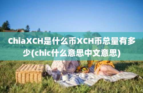 ChiaXCH是什么币XCH币总量有多少(chic什么意思中文意思)