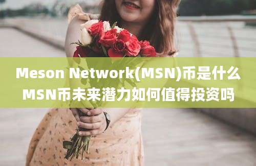 Meson Network(MSN)币是什么MSN币未来潜力如何值得投资吗