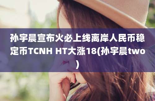 孙宇晨宣布火必上线离岸人民币稳定币TCNH HT大涨18(孙宇晨two)