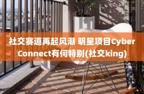 社交赛道再起风潮 明星项目CyberConnect有何特别(社交king)