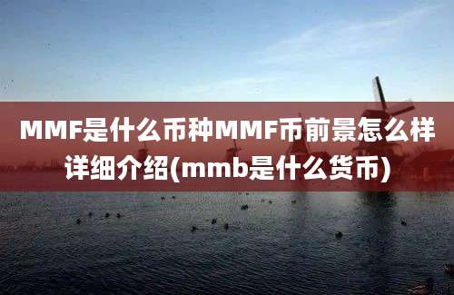 MMF是什么币种MMF币前景怎么样详细介绍(mmb是什么货币)