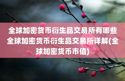 全球加密货币衍生品交易所有哪些全球加密货币衍生品交易所详解(全球加密货币市值)