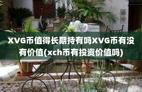 XVG币值得长期持有吗XVG币有没有价值(xch币有投资价值吗)