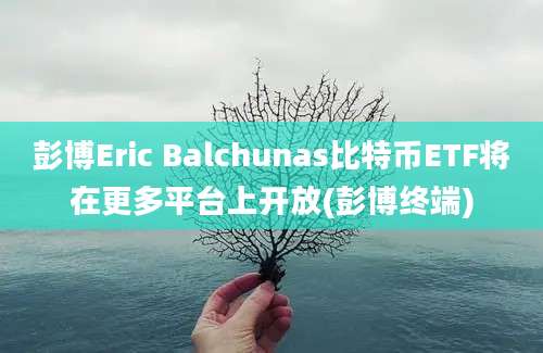 彭博Eric Balchunas比特币ETF将在更多平台上开放(彭博终端)