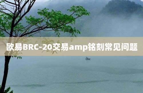 欧易BRC-20交易amp铭刻常见问题