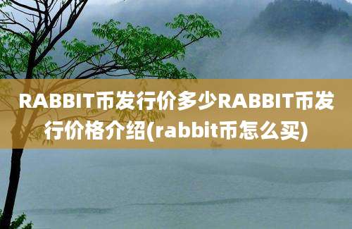 RABBIT币发行价多少RABBIT币发行价格介绍(rabbit币怎么买)