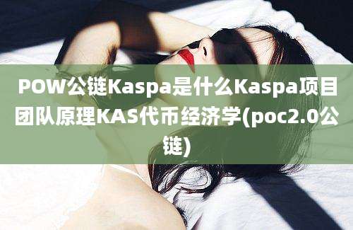 POW公链Kaspa是什么Kaspa项目团队原理KAS代币经济学(poc2.0公链)