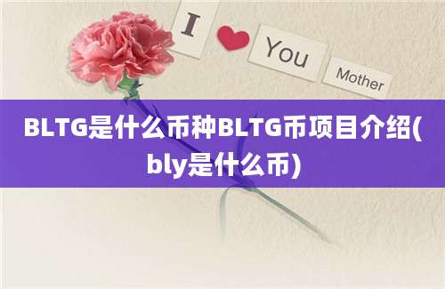 BLTG是什么币种BLTG币项目介绍(bly是什么币)