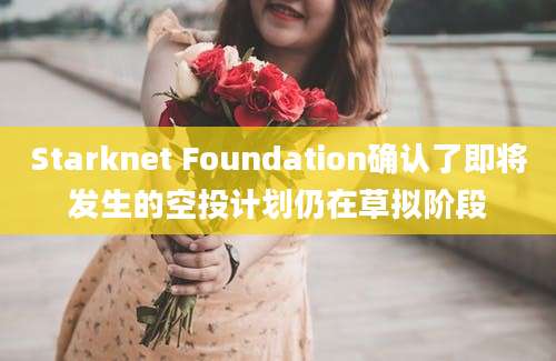 Starknet Foundation确认了即将发生的空投计划仍在草拟阶段