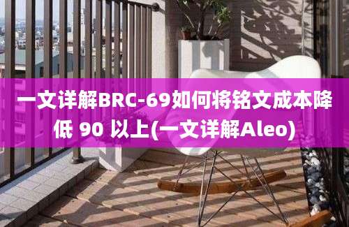 一文详解BRC-69如何将铭文成本降低 90 以上(一文详解Aleo)