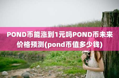 POND币能涨到1元吗POND币未来价格预测(pond币值多少钱)