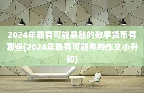 2024年最有可能暴涨的数字货币有哪些(2024年最有可能考的作文小升初)