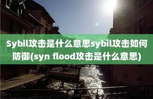 Sybil攻击是什么意思sybil攻击如何防御(syn flood攻击是什么意思)