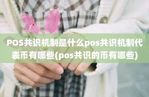 POS共识机制是什么pos共识机制代表币有哪些(pos共识的币有哪些)