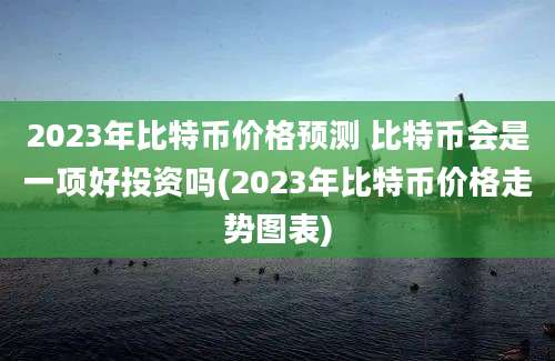 2023年比特币价格预测 比特币会是一项好投资吗(2023年比特币价格走势图表)