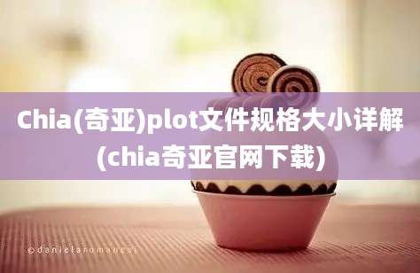 Chia(奇亚)plot文件规格大小详解(chia奇亚官网下载)