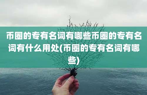 币圈的专有名词有哪些币圈的专有名词有什么用处(币圈的专有名词有哪些)