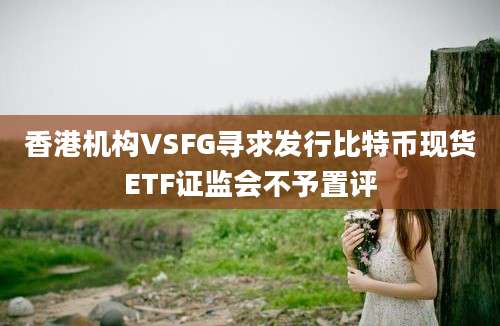 香港机构VSFG寻求发行比特币现货ETF证监会不予置评