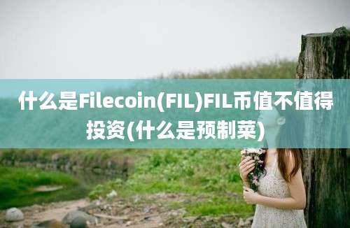 什么是Filecoin(FIL)FIL币值不值得投资(什么是预制菜)