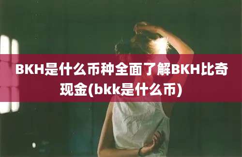 BKH是什么币种全面了解BKH比奇现金(bkk是什么币)