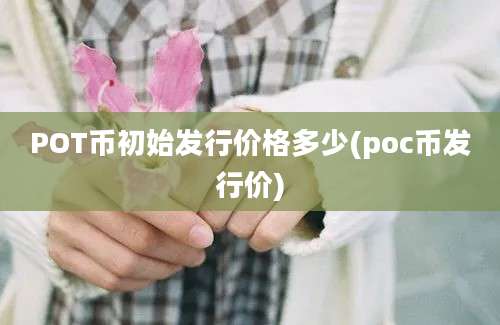 POT币初始发行价格多少(poc币发行价)