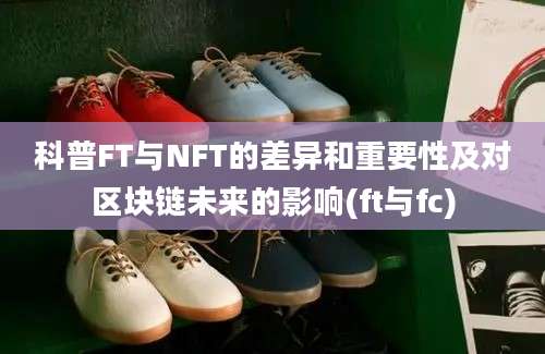 科普FT与NFT的差异和重要性及对区块链未来的影响(ft与fc)