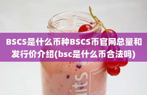 BSCS是什么币种BSCS币官网总量和发行价介绍(bsc是什么币合法吗)