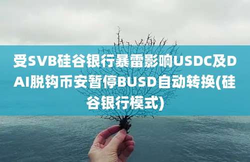 受SVB硅谷银行暴雷影响USDC及DAI脱钩币安暂停BUSD自动转换(硅谷银行模式)