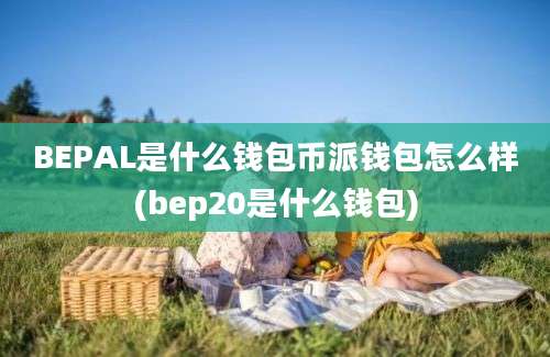 BEPAL是什么钱包币派钱包怎么样(bep20是什么钱包)