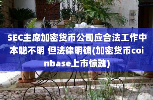 SEC主席加密货币公司应合法工作中本聪不明 但法律明确(加密货币coinbase上市惊魂)