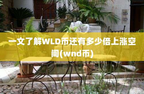 一文了解WLD币还有多少倍上涨空间(wnd币)