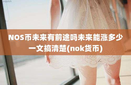 NOS币未来有前途吗未来能涨多少一文搞清楚(nok货币)