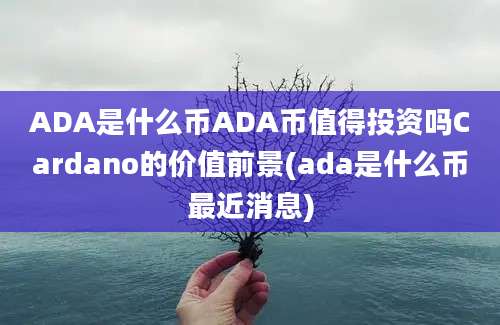 ADA是什么币ADA币值得投资吗Cardano的价值前景(ada是什么币最近消息)